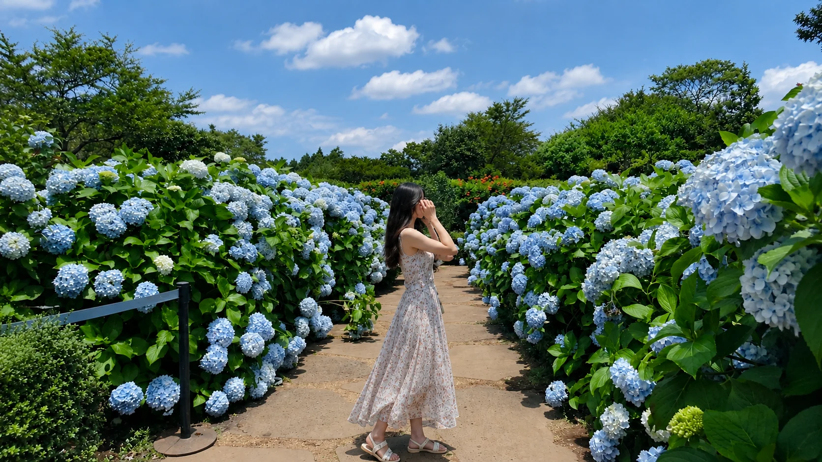 Camellia Hill (year-round signature flower garden) — gallery image 1