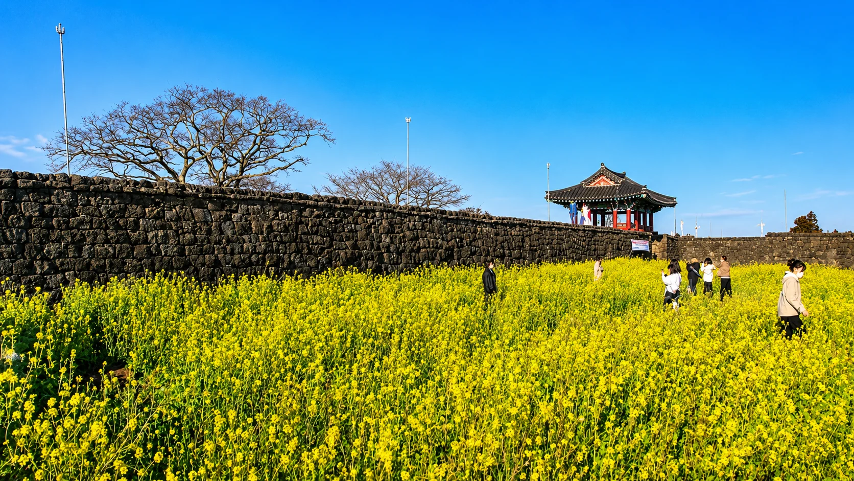 Seongeup Folk Village (Korean National Folklore Cultural Heritage) — gallery image 1